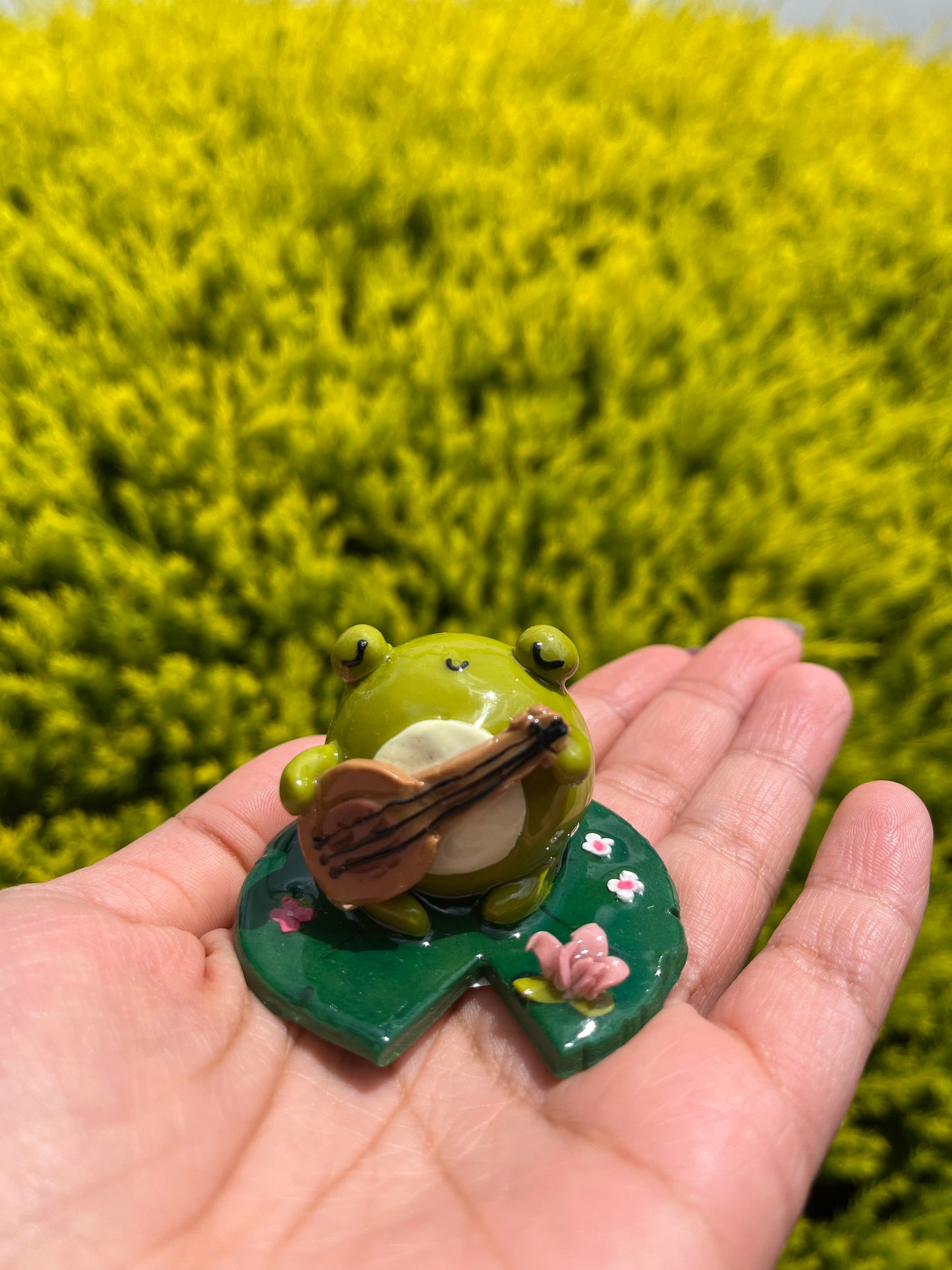 Frog playing Ukelele - Deskfriend