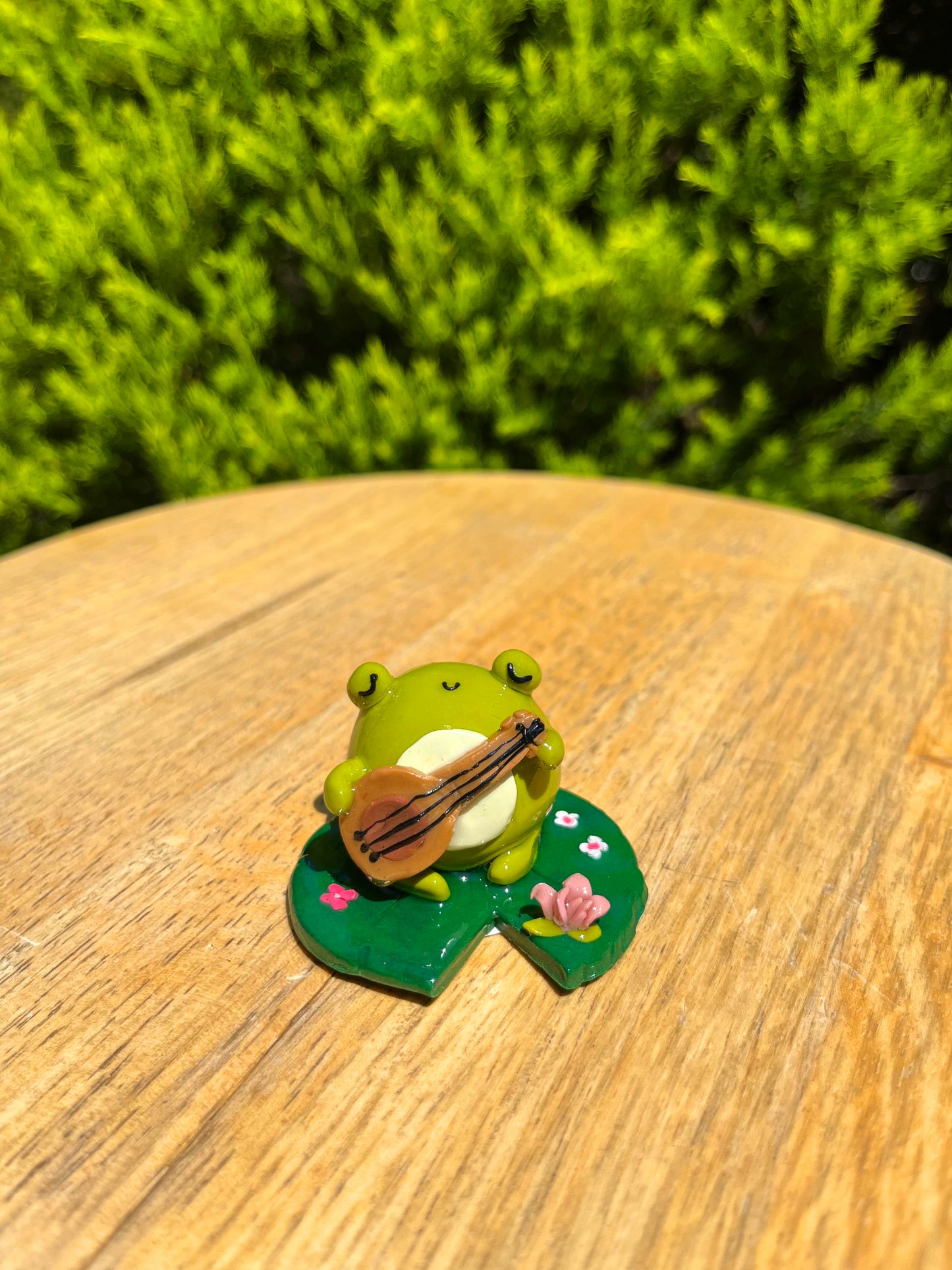 Frog playing Ukelele - Deskfriend