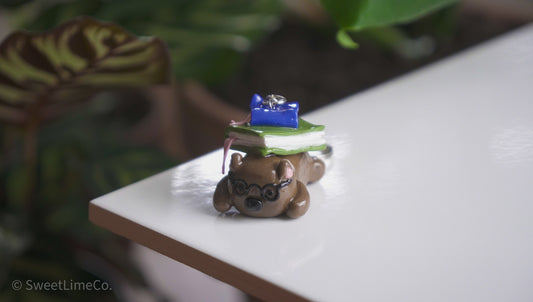 Bookish Wombat